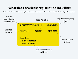 What Does Registration Look Like?